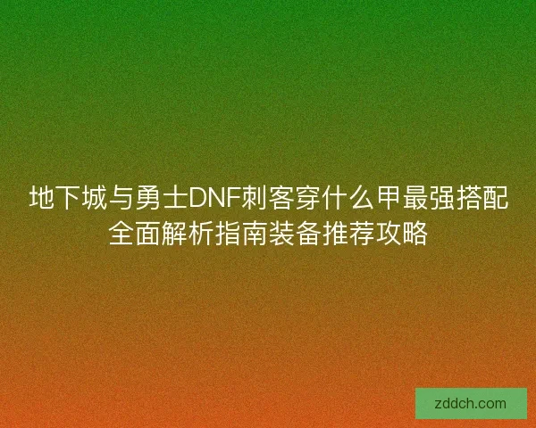 地下城与勇士DNF刺客穿什么甲最强搭配全面解析指南装备推荐攻略