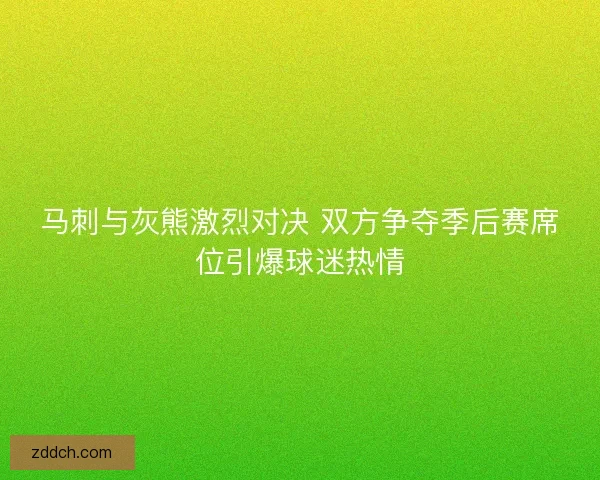 马刺与灰熊激烈对决 双方争夺季后赛席位引爆球迷热情